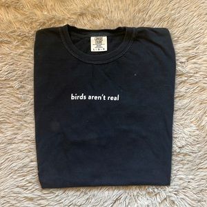 Birds Aren’t Real comfort colors T-Shirt